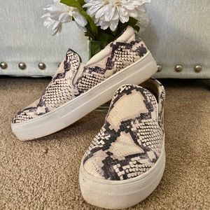steve madden snakeskin slip on sneakers